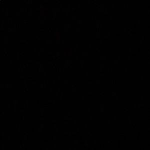 Meet your Posher, Bryan